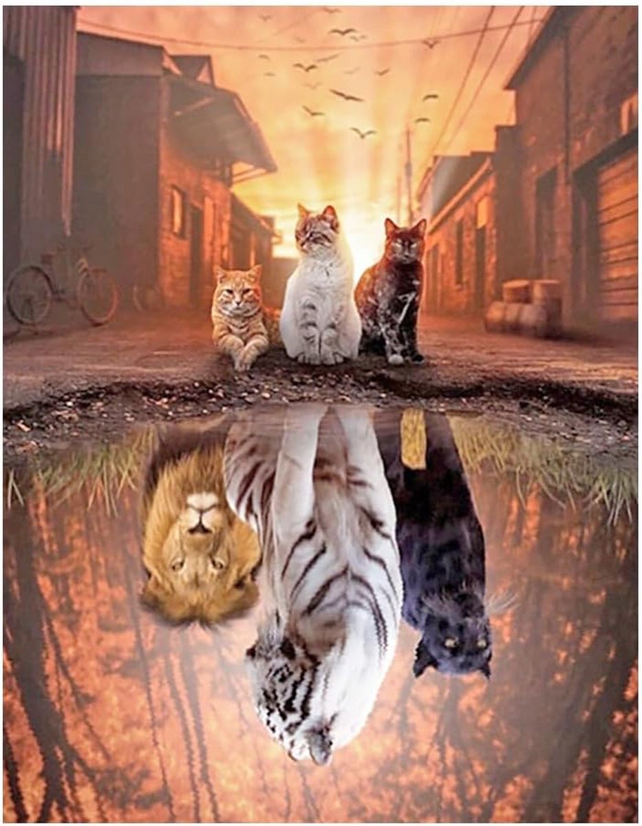 5D Diamond Painting Vierkante Stenen 40 x 50 cm - Dieren - Kat en Tijger Spiegelbeeld